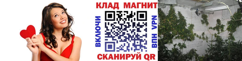 Какие есть наркотики Слюдянка Кокаин  MDMA  А ПВП  Марихуана  Мефедрон 