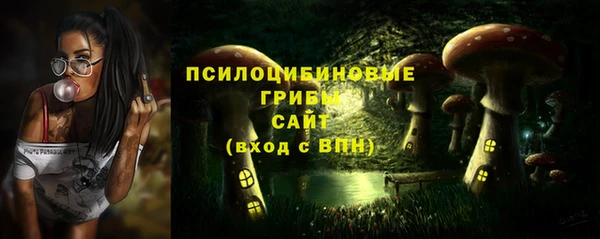 синтетический гашиш Алексин