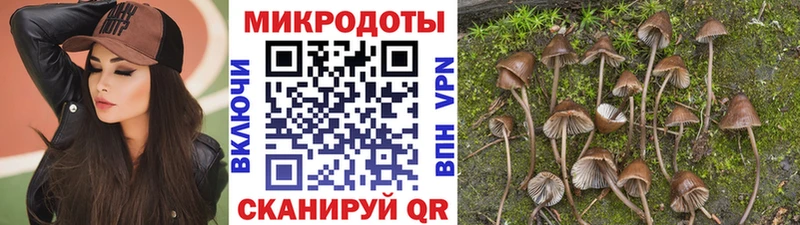 Псилоцибиновые грибы ЛСД  Слюдянка 